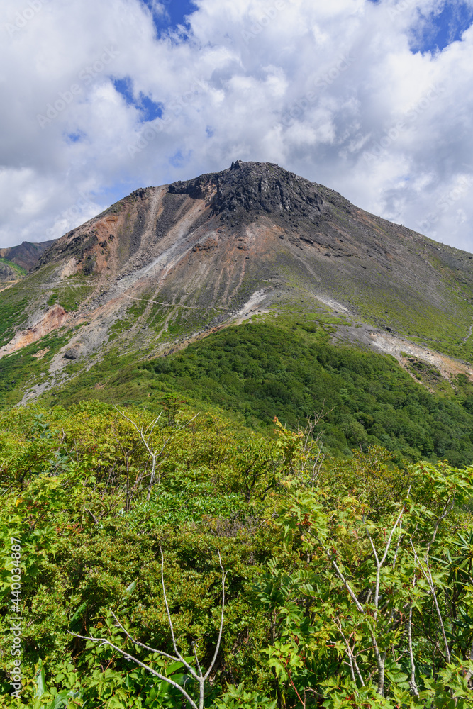 Fototapeta premium 夏の茶臼岳