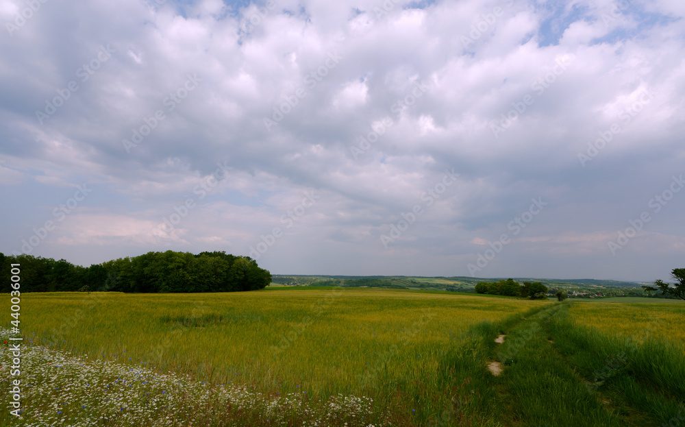 Feldweg in Niederösterreich, Ulrichskirchen
