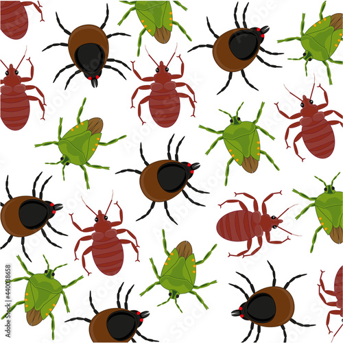 Vector illustration insect bedbug,mite and flea pattern