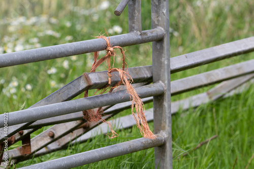 old metal gate with string and a field behind with wild flowers
