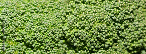 Broccoli cabbage background close up. Texture vegetable background. Banner