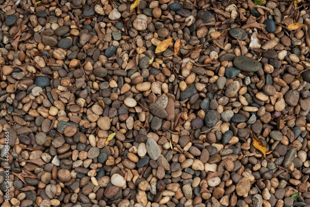 Closeup top view Pile of orange tans river stone or creek rock and beach rock texture background with dry leaves with natural sunlight outdoor. Stone for water fixtures or aesthetic drainage material. Closeup top view Pile of orange tans river stone or creek rock and beach rock texture background with dry leaves with natural sunlight outdoor. Stone for water fixtures or aesthetic drainage material.