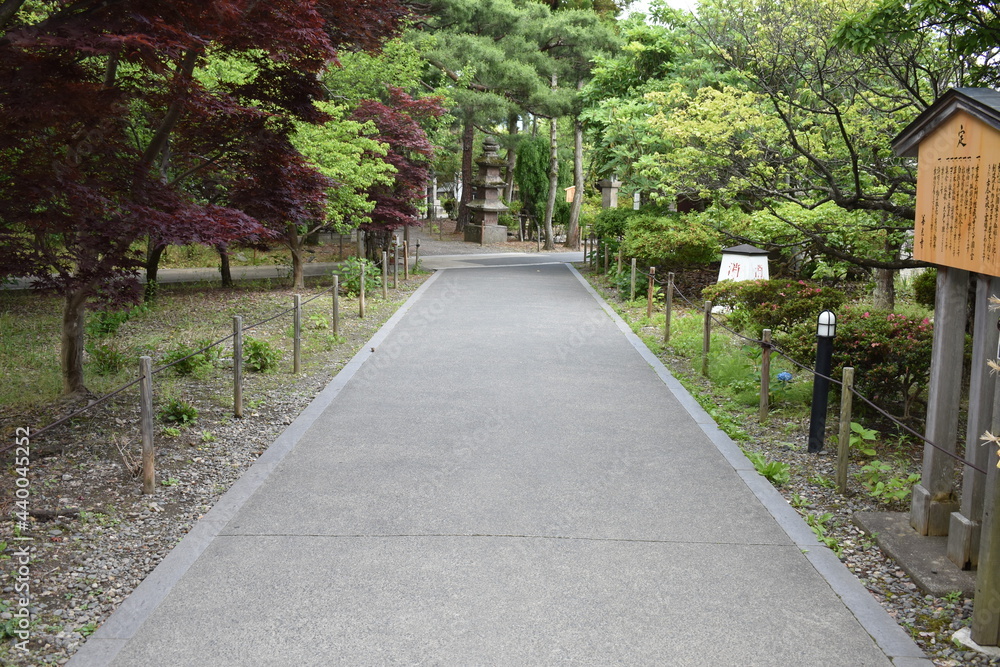 日本　長野　観光名所　善光寺　夏の風景