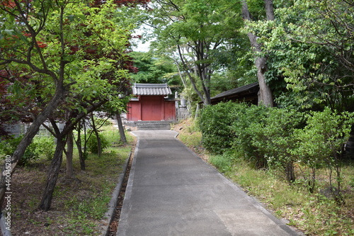 日本 長野 観光名所 善光寺 夏の風景