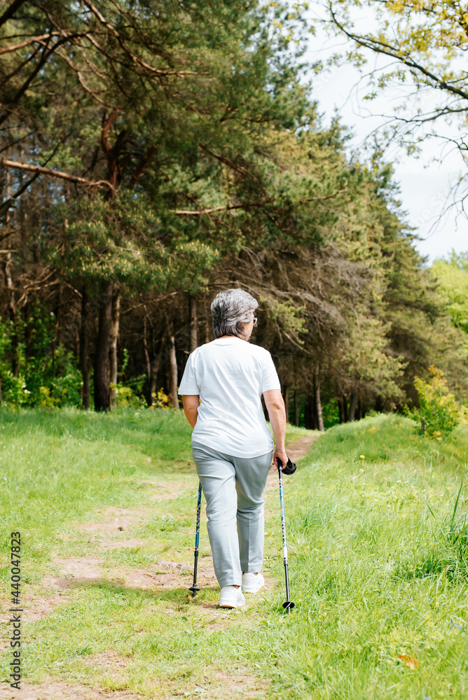 Outdoor Nordic walking. Senior woman walking in a pine forest on a summer day, rear view. An active lifestyle in retirement, a hike in nature.
