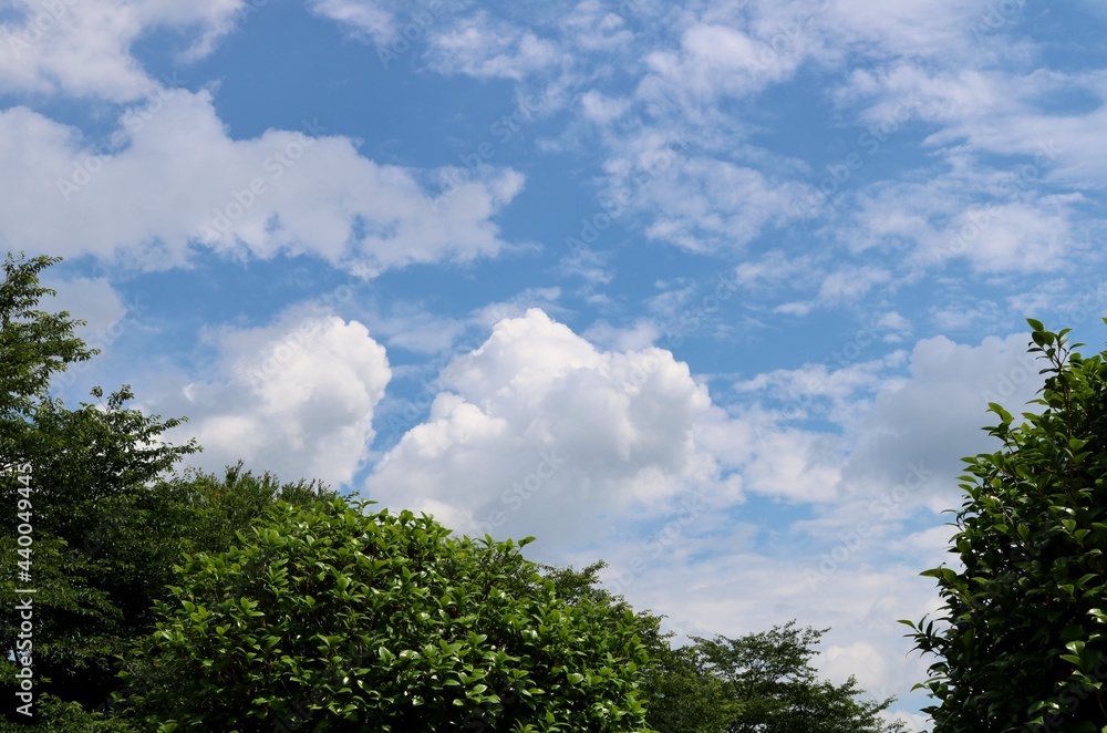 爽やかな初夏の空　風景