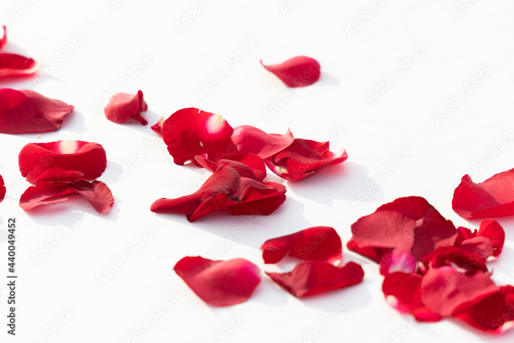 red rose petals on the table red rose petals on the table