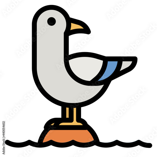 seagull