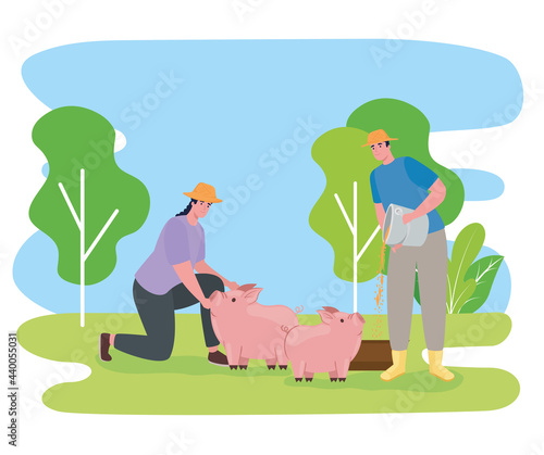 Farmers people feeding pigs