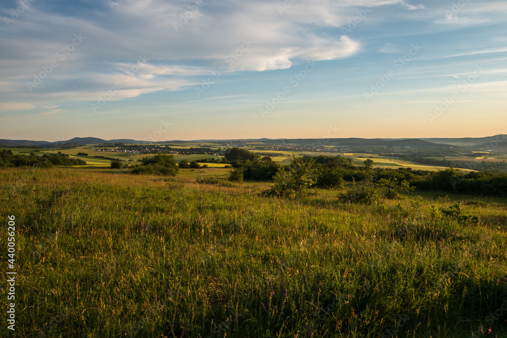 sunset over the field