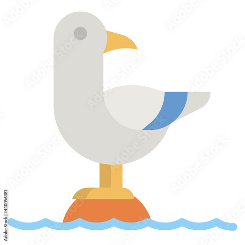 seagull