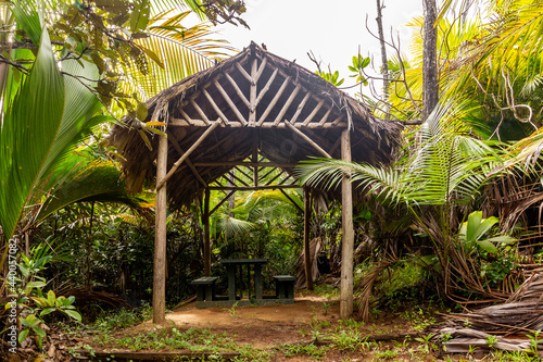 Fotografie, Tablou Wooden shelter with thatched roof made of palm leaves in tropical rainforest on Glacis Noire Nature Trail, Praslin Island, Seychelles