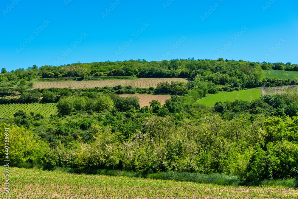 Mount Fruska Gora. Beautiful arable land in Vojvodina, orchards and fertile agricultural soil near the Fruska Gora, Serbia