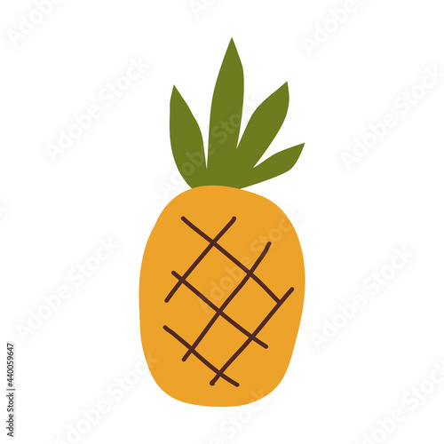 tropical pineapple nutrition fresh natural summer holiday fruit vector illustration drawn