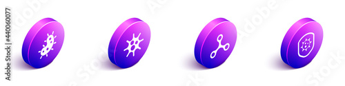 Set Isometric Virus, Virus, Virus and Shield protecting from virus icon. Vector