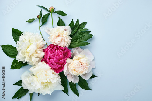 Beautiful red, pink and white peony flowers bouquet over blue background, top view, copy space, flat-lay. Valentines, Wedding and Mothers day background. © kasia2003