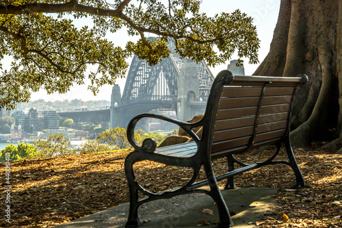 Wooden bench seat overlooking Sydney Harbour photo