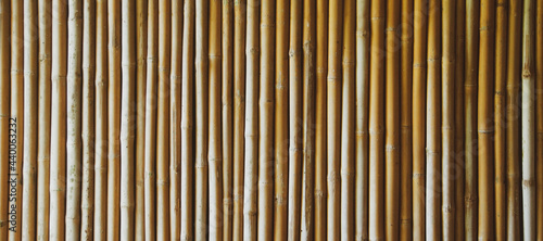 The Pattern of bamboo texture background.