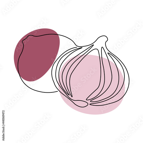 Continuous one line drawing onion. Vector illustration. Black line art on white background with colorful spots. Cartoon onion isolated on white background. Vegan concept