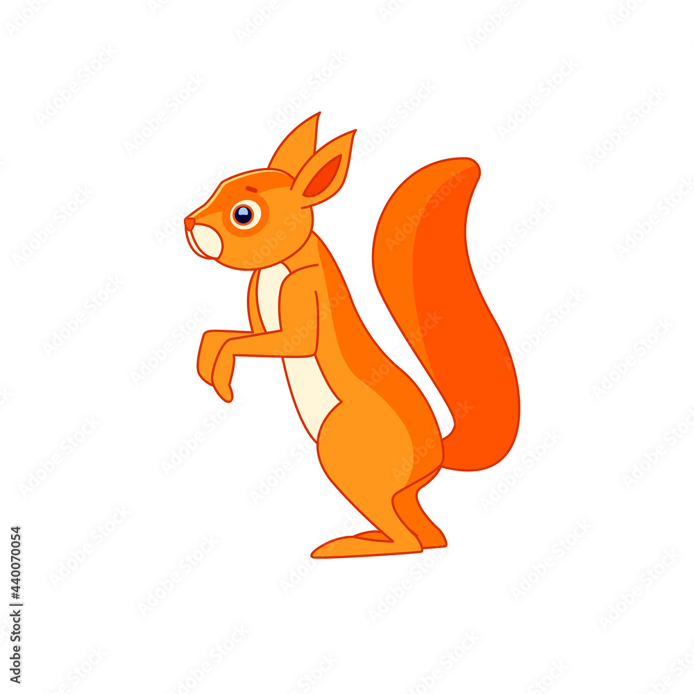 Fototapeta premium Cute Squirrel stands and watches curiously. Cartoon character of a mammalian rodent. A wild forest creature with orange fur. Side view. Vector flat illustration isolated on a white background