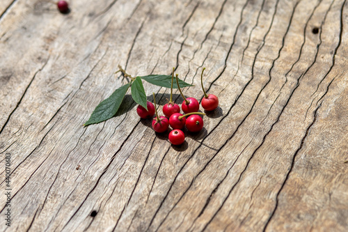 Muntingia calabura, the fruit is red, round, sweet. shaped like a cherry The background is a wooden table. Fruits are very useful, birds love them.