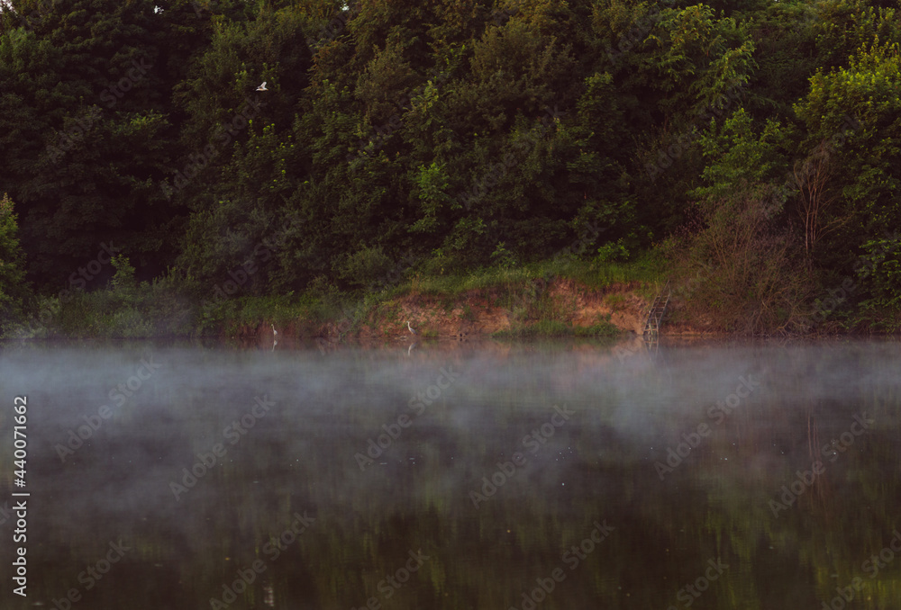 morning landscape on the lake fog over the water trees reflected in the water rising sun morning landscape on the lake fog over the water trees reflected in the water rising sun