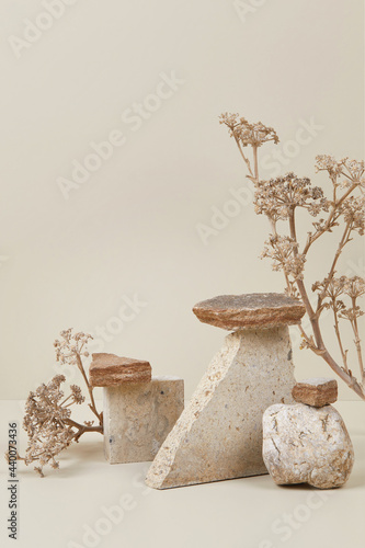 Canvas Print Abstract nature scene with composition of stones and dry flowers