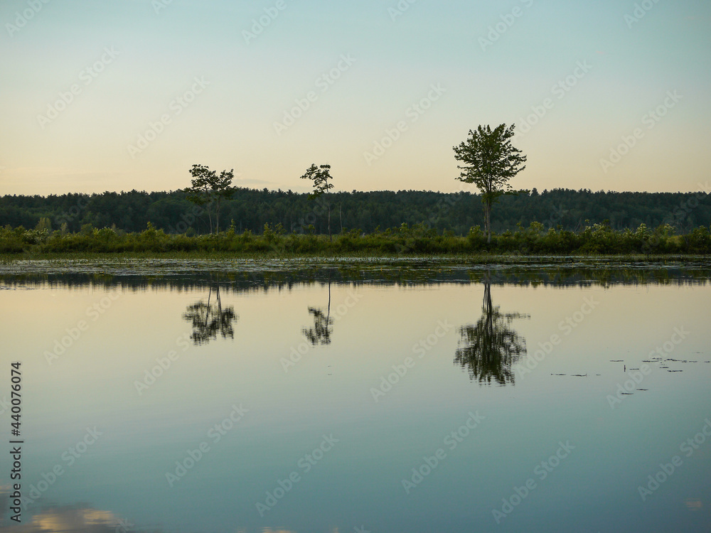 Sunset behind three trees reflecting in lake