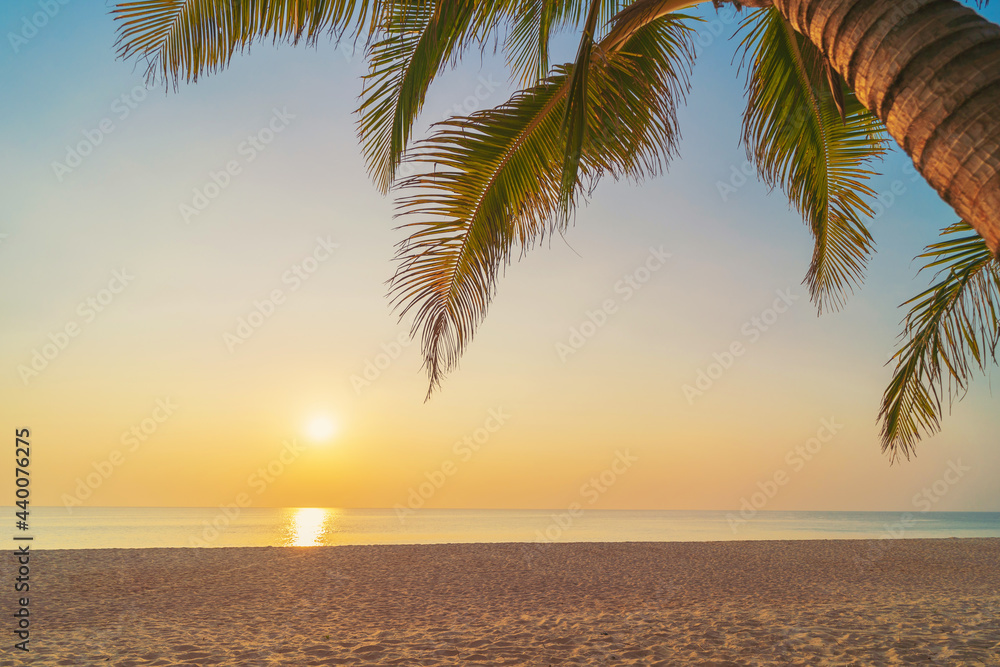 Palm tree at tropical beach on sunset sky abstract background. Summer vacation and nature travel adventure concept.