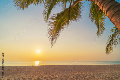 Palm tree at tropical beach on sunset sky abstract background. Summer vacation and nature travel adventure concept.