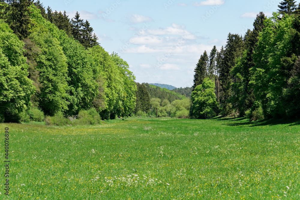 Naturschutzgebiet Lampertstal in der Eifel