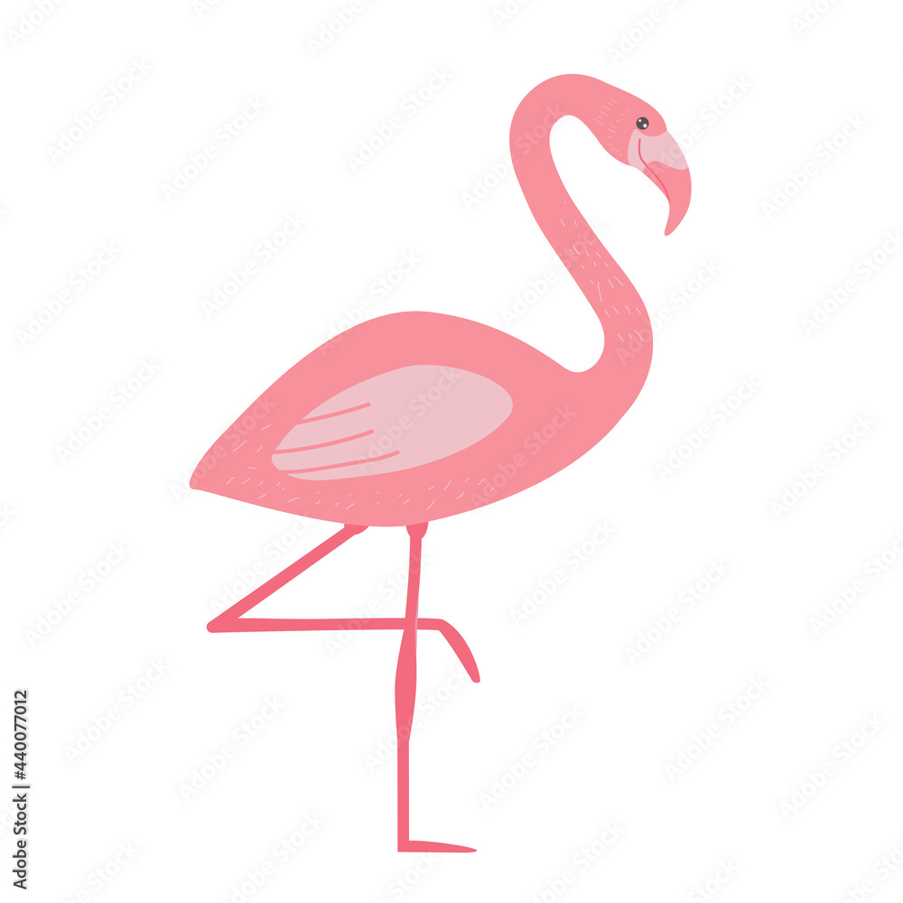 Cute cartoon pink flamingo isolated on white transparent background. Vector flat design children illustration. Side view. Bird drawing. Side view