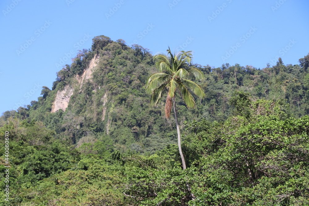 Fototapeta premium Plage Anse Couleuvre Martinique Antilles Françaises Caraïbes