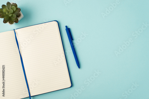 Top view photo of open blue planner pen and flowerpot on isolated pastel blue background with copyspace