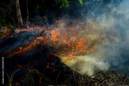 Flames and smoke are burning the dry grass violently in the dry season.