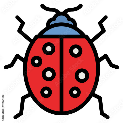 ladybug