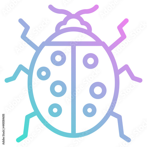 ladybug