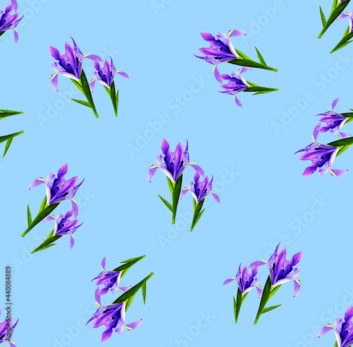 Fototapeta Naklejka Na Ścianę i Meble -  floral digital print seamless 