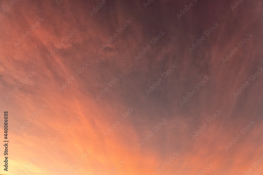 Pink and gold clouds and sky at sunset on summer evening.