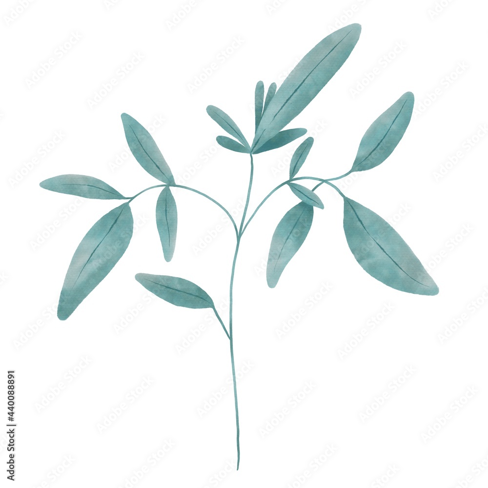 Isolated illustration of a stylised plant Isolated illustration of a stylised plant