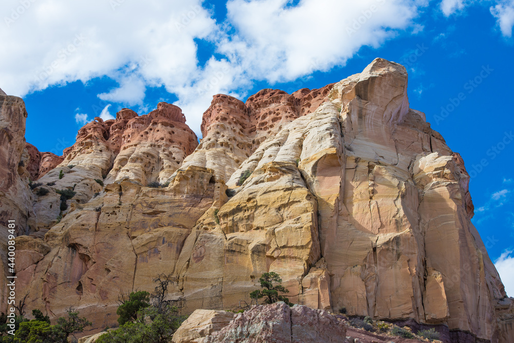 Fototapeta premium Bryce Canyon