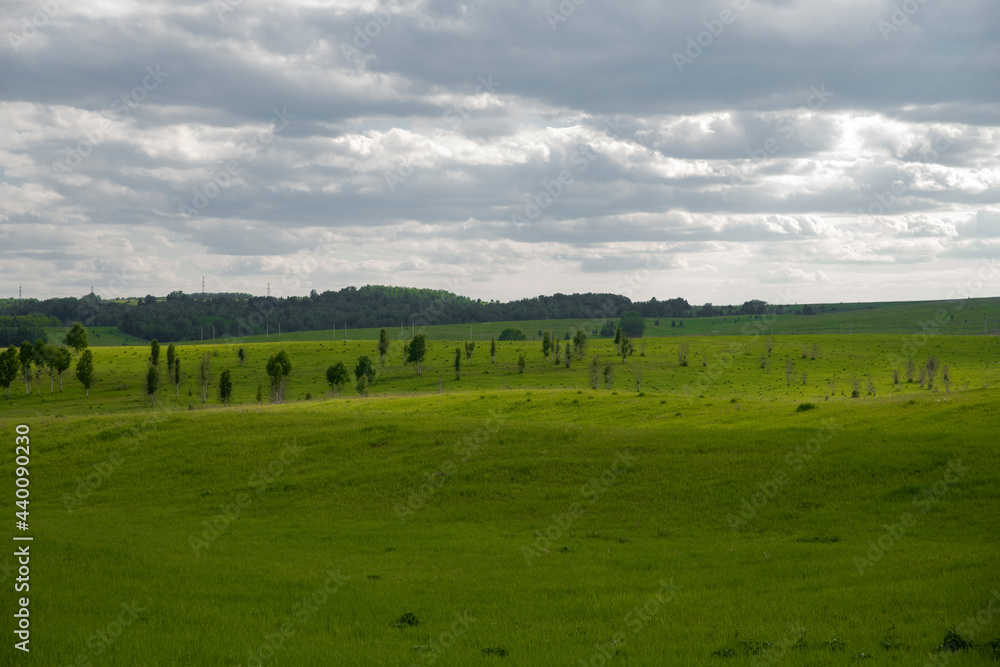 field and blue sky