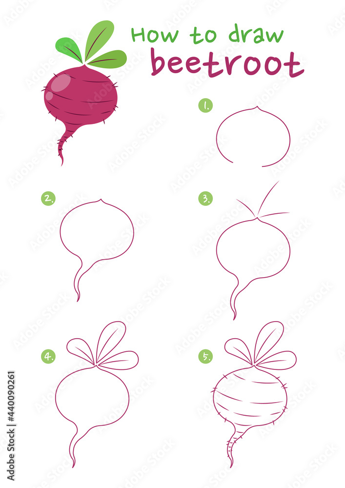 How to draw a beetroot vector illustration. Draw a beetroot step by