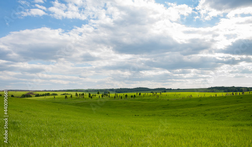 field and blue sky