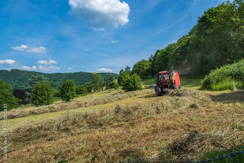 Obraz premium View of a meadow in Rhineland-Palatinate / Germany where a farmer brings in the hay with his tractor 