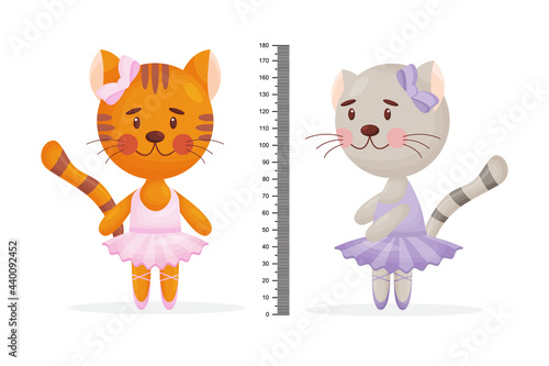 Kids meter wall with a cute smiling cartoon cat and measuring ruler. Vector illustration of animal isolated background.
