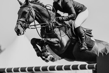 Horse Jumping, Equestrian Sports, Show Jumping themed photo.