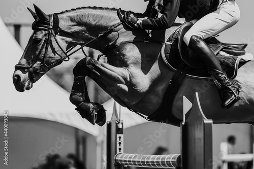 Horse Jumping, Equestrian Sports, Show Jumping themed photo. © Wirestock 