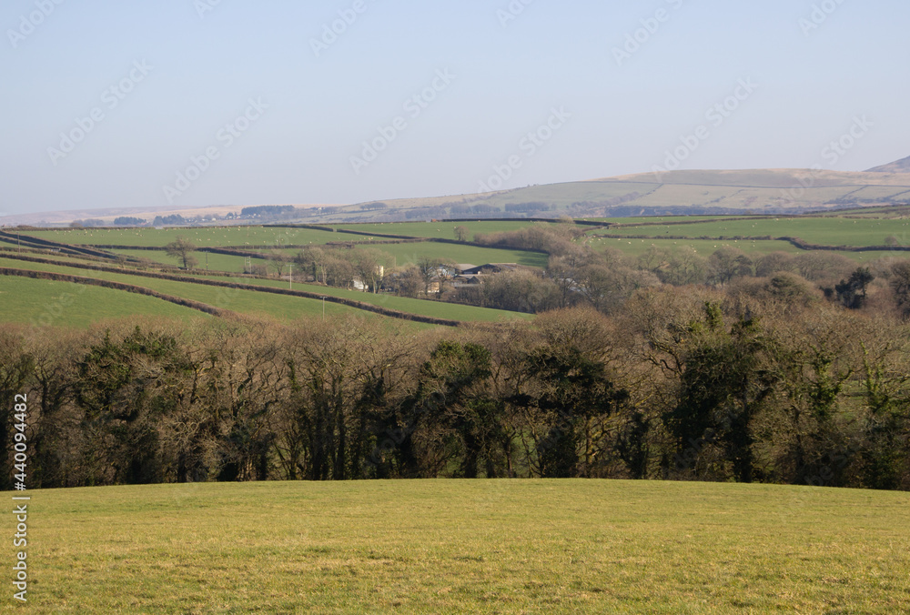 typical North Devon farm land with the Dartmoor National Park in the background