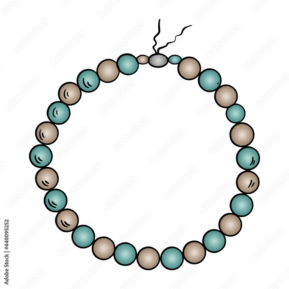 Obraz premium Illustration of fashion jewelry necklace made of beads of different colors on white isolated layer. Vector illustration